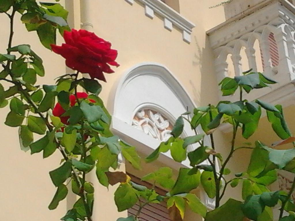 Relais Le Felci Executive Suite Spa Fiuggi Bagian luar foto